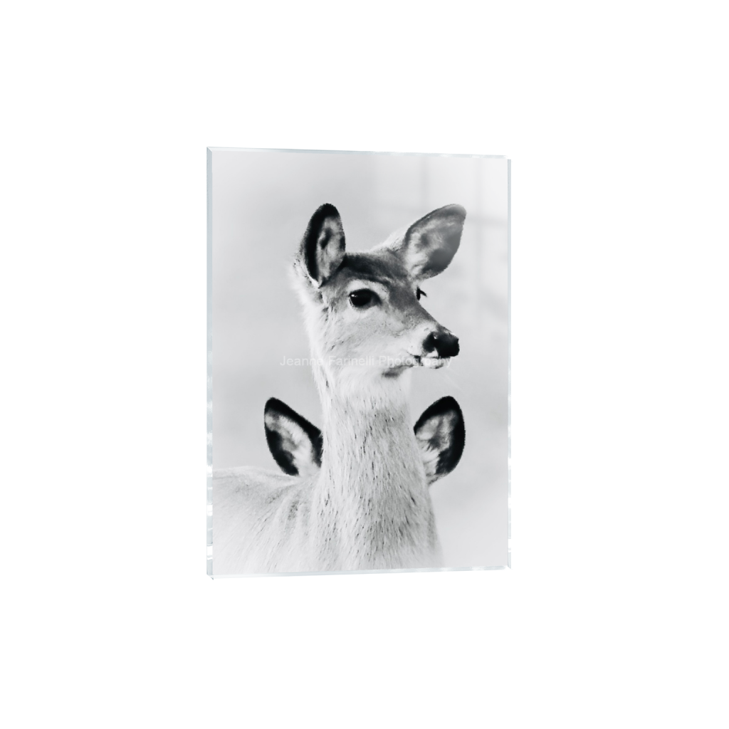 ptq_17_7_19_0_787_1102_0_false_ffffff_0_0_cab7eb623c2f022e6af6f31b38b93f75.png
