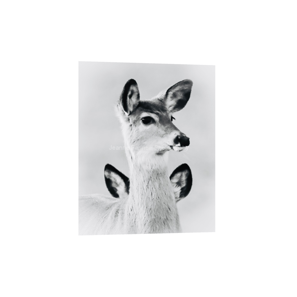 ptq_1_6_0_34_827_1033_0_false_ffffff_0_0_cab7eb623c2f022e6af6f31b38b93f75.png