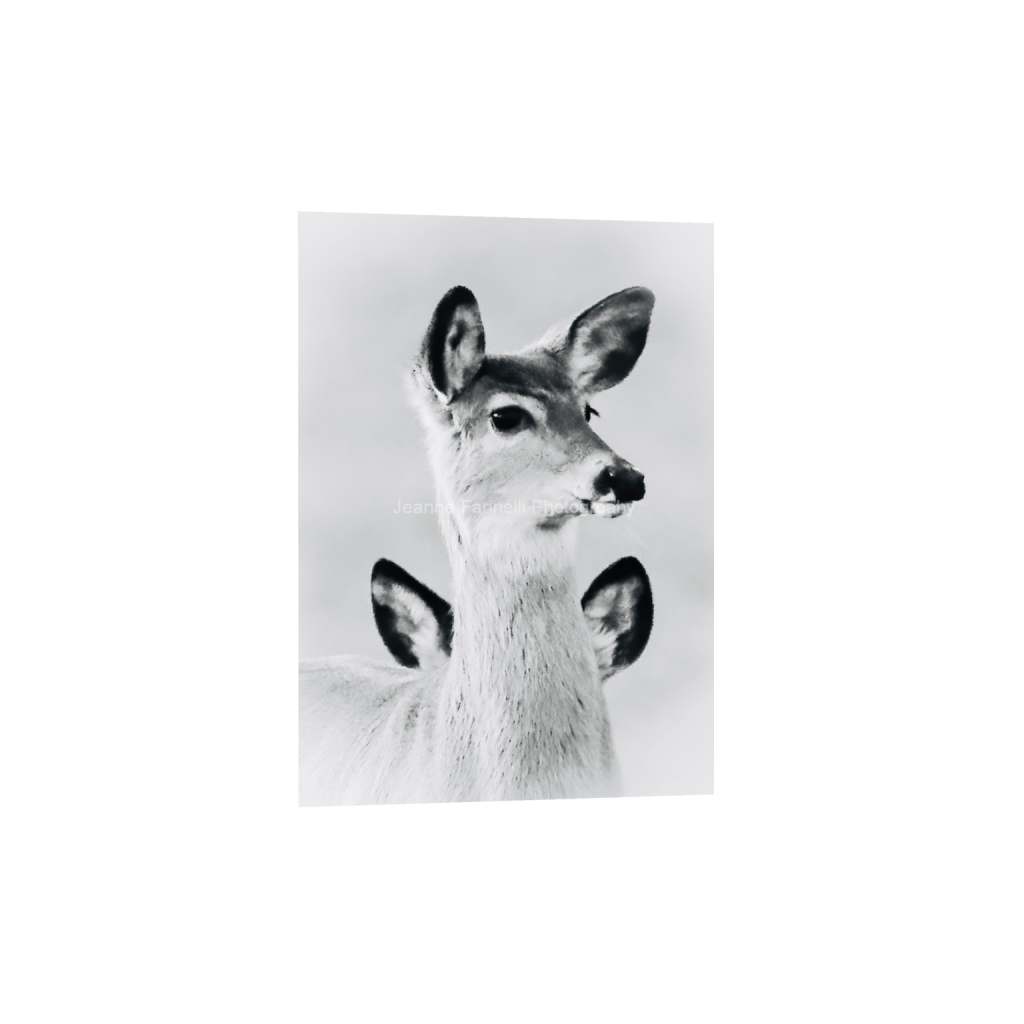 ptq_1_7_19_0_787_1102_0_false_ffffff_0_0_cab7eb623c2f022e6af6f31b38b93f75.png