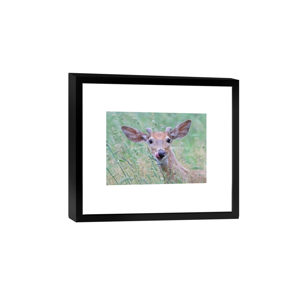 ptq_45_7_0_102_2048_1462_0_false_ffffff_0_0_cab7eb623c2f022e6af6f31b38b93f75.png