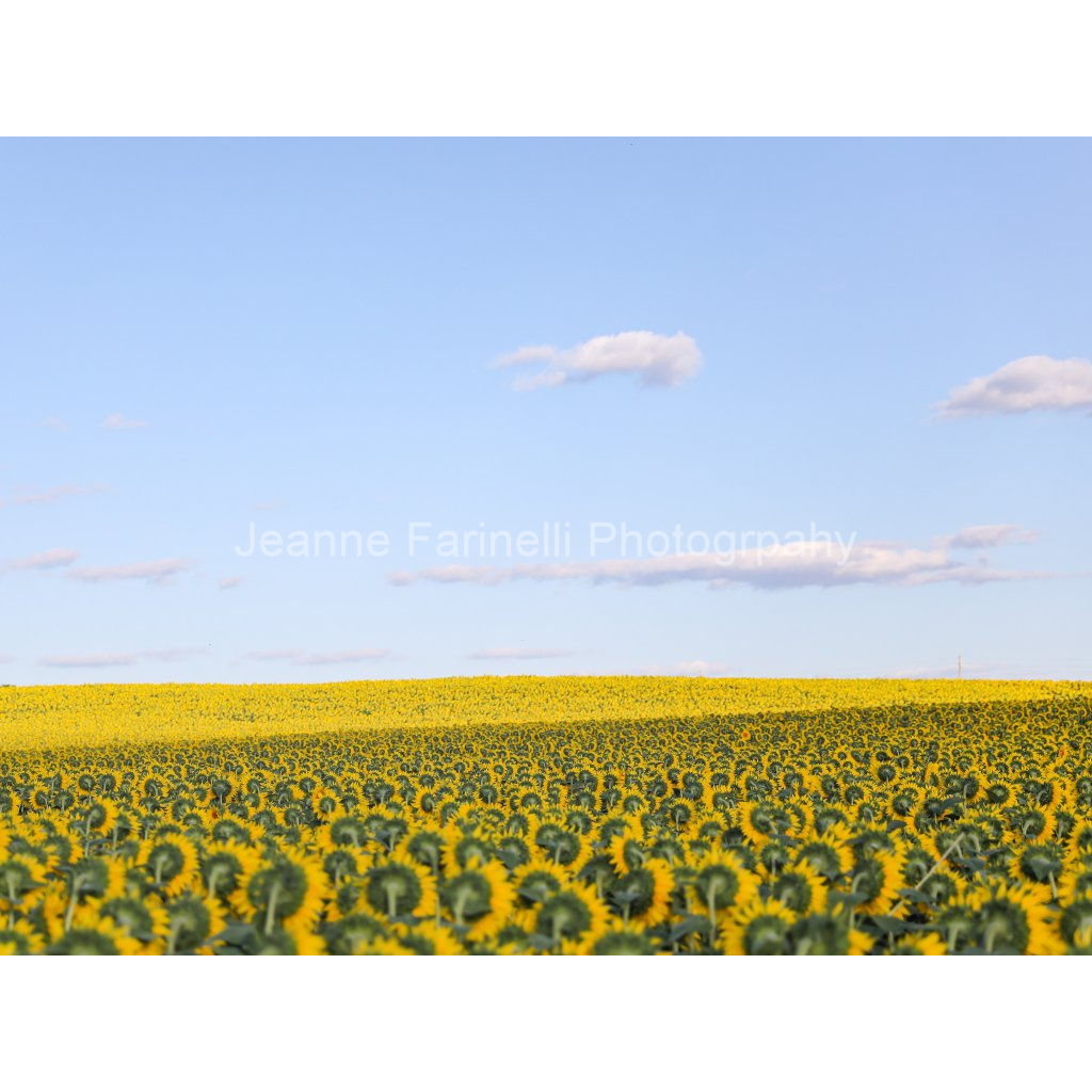 image_original_cab7eb623c2f022e6af6f31b38b93f75.png