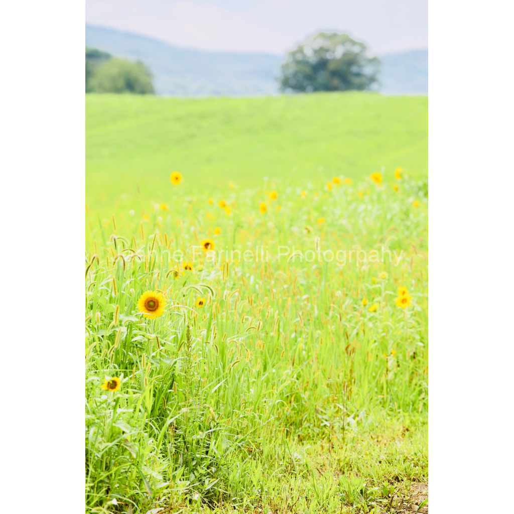 image_original_cab7eb623c2f022e6af6f31b38b93f75.png