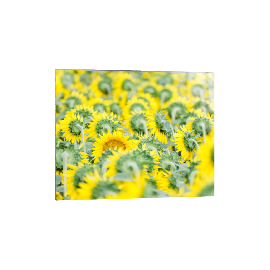 ptq_13_6_192_0_1920_1536_0_false_ffffff_0_0_cab7eb623c2f022e6af6f31b38b93f75.png