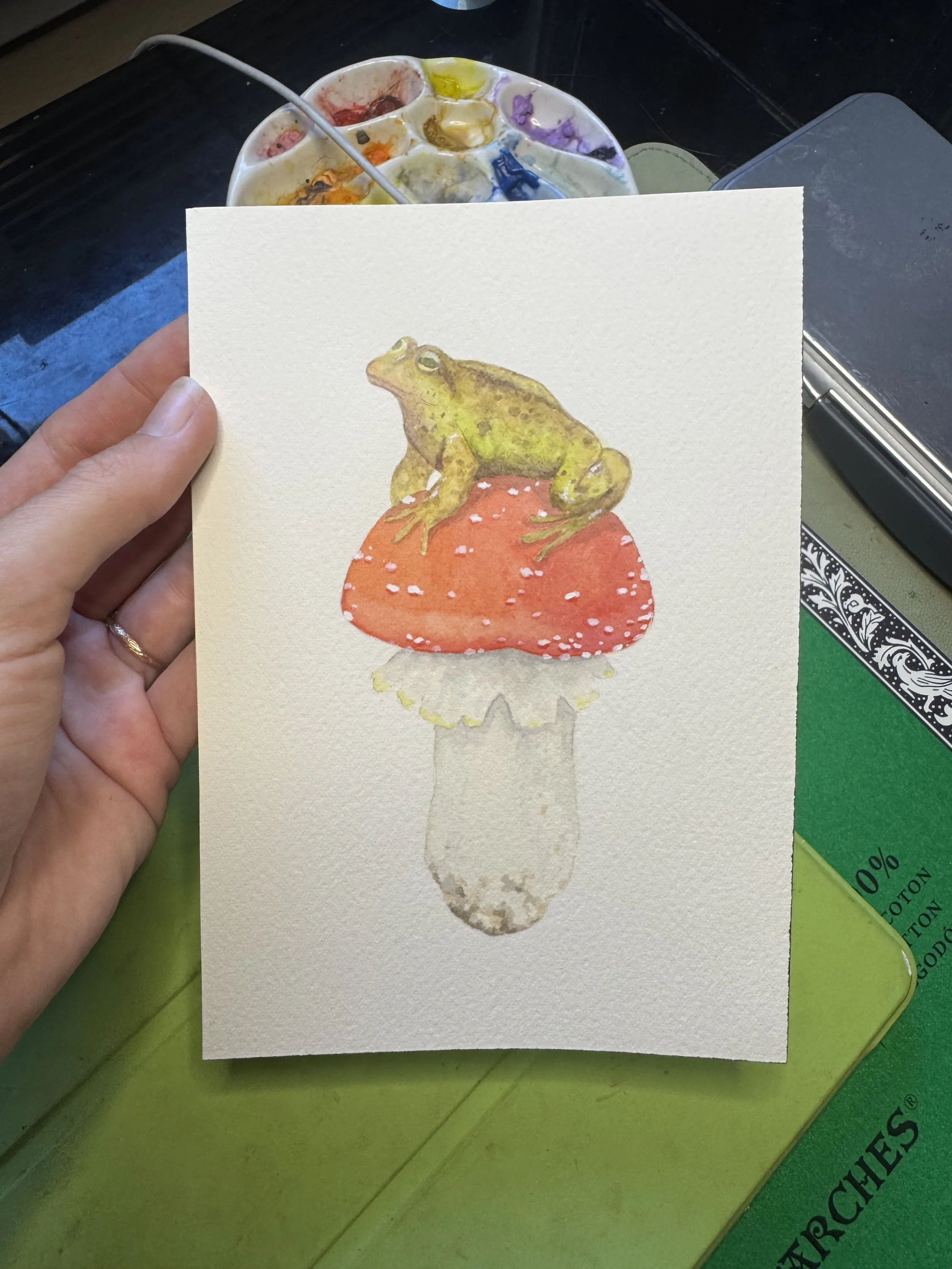 Anura and Amanita Muscaria