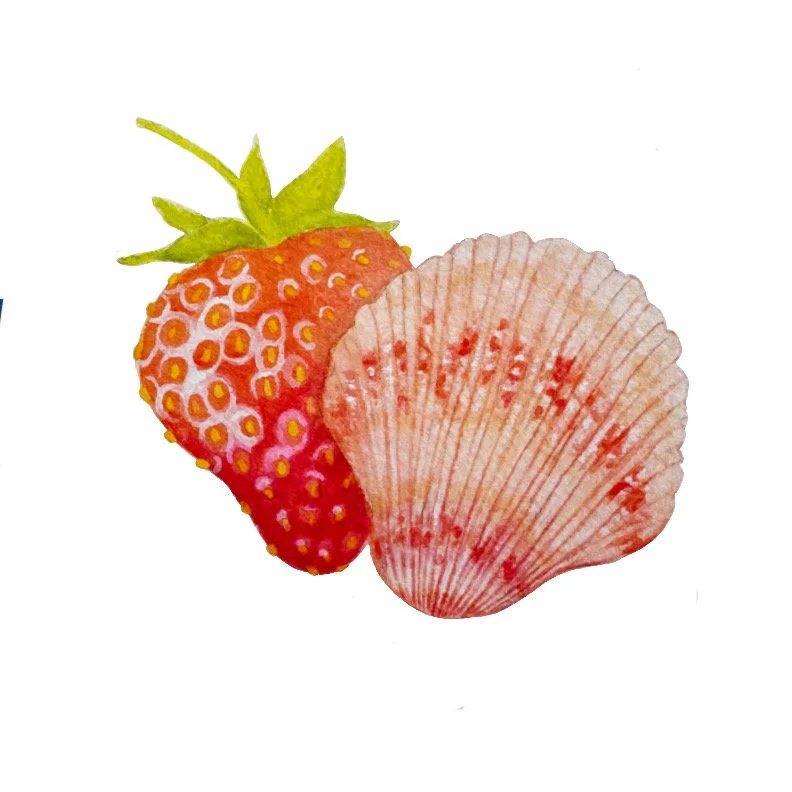 Strawberry Shell