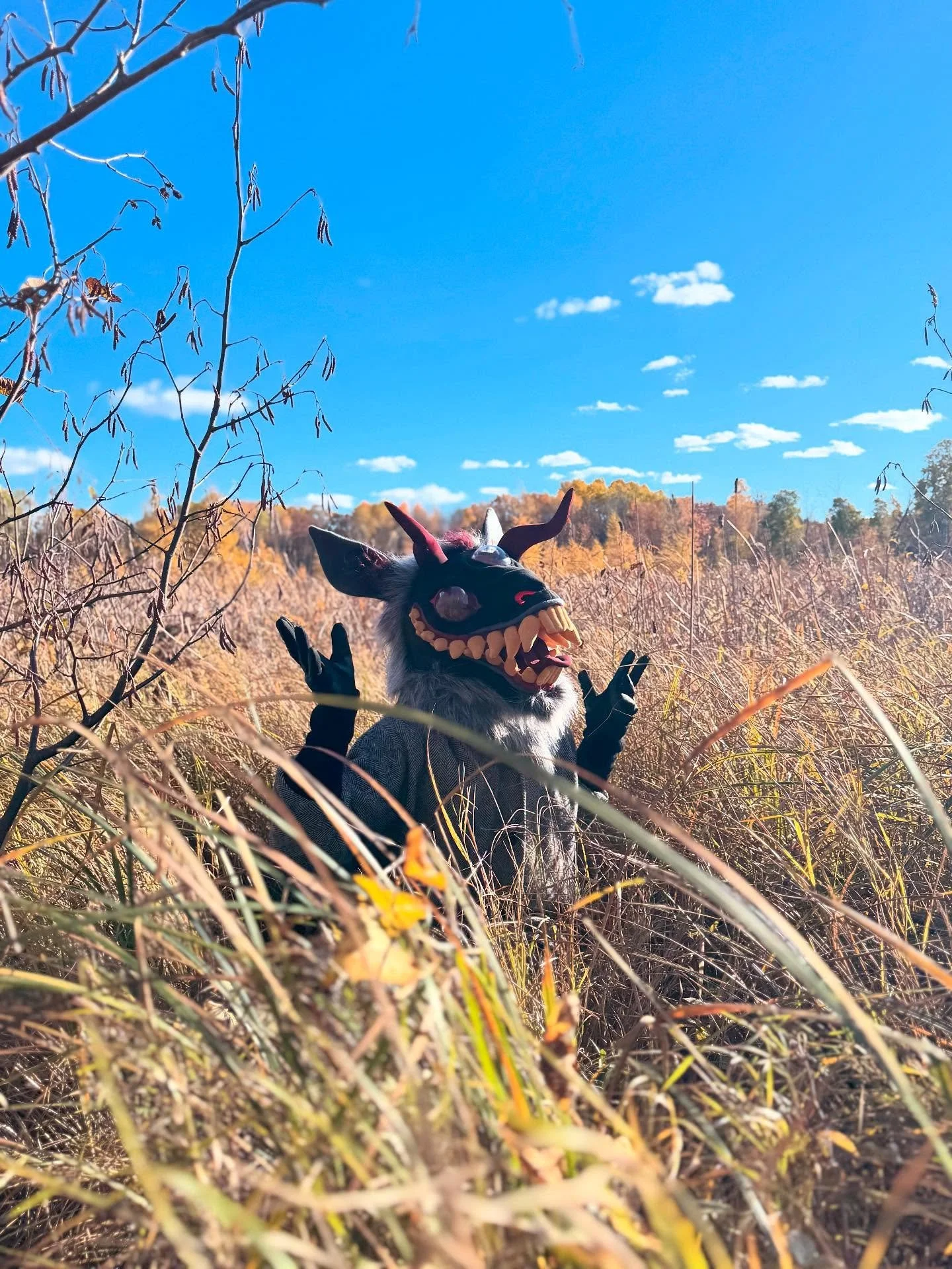 At peace in my swamp ✨
-
My new environment is marvellous, it&rsquo;s a whole new feeling, a new look on life. I&rsquo;m going to have fun with this land ❤️
-
#furry #fursuitmaker #stinky #swamp #photos #dahlsretrothreads