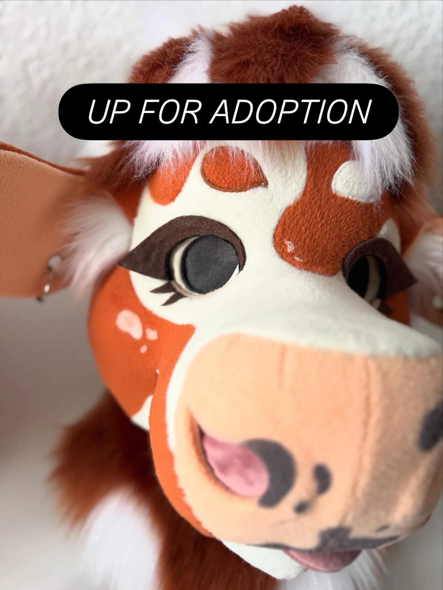 I&rsquo;M UP FOR ADOPTION! 🐮
Check out my info on Etsy, link in bio!
-
#fursuitforsale #fursuitmaker #commisionsopen #smallbusiness