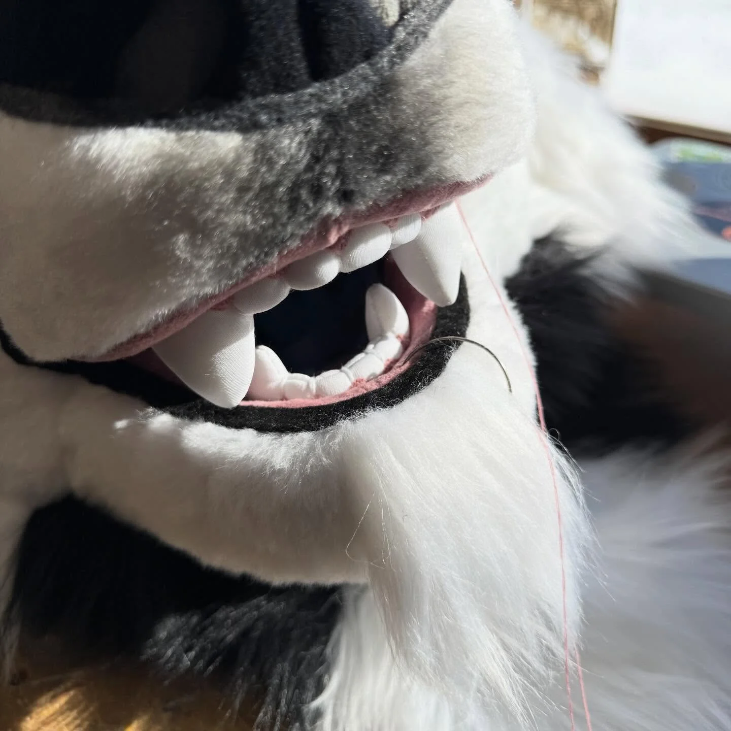 Just had to deal with the neoprene splitting after the seam?? Fixed, but that was strange! 
#fursuitmaker #furry #handsewing #teeth