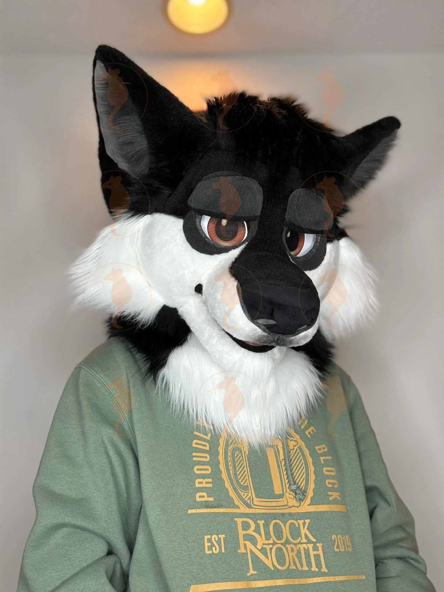 More photos of dis boi Yeager ✨
-
#fursuit #furry #fursuitmaker