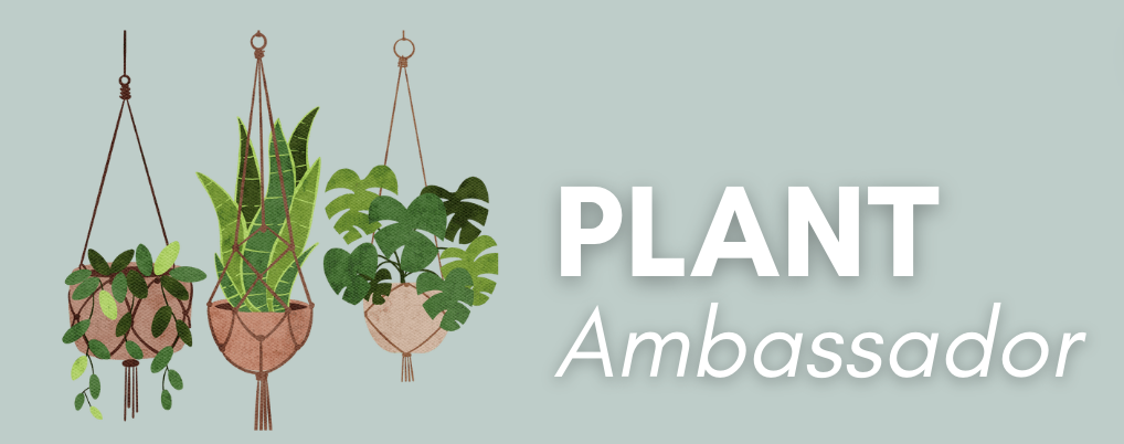 Plant Ambassador
