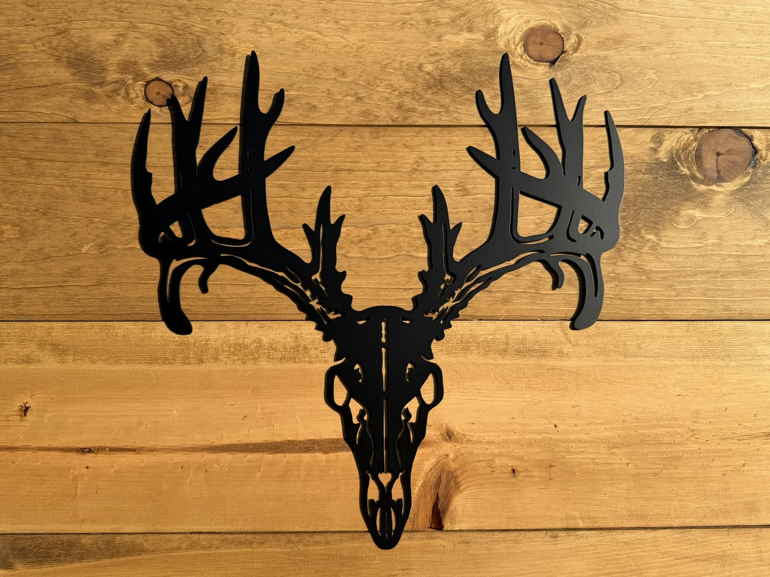 6 deer skull W 1107.jpeg