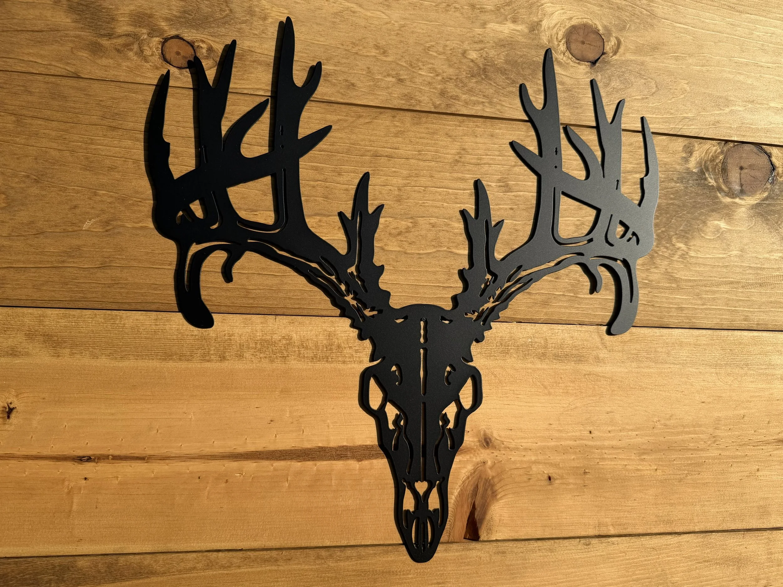 6 deer skull W2 1108.jpeg