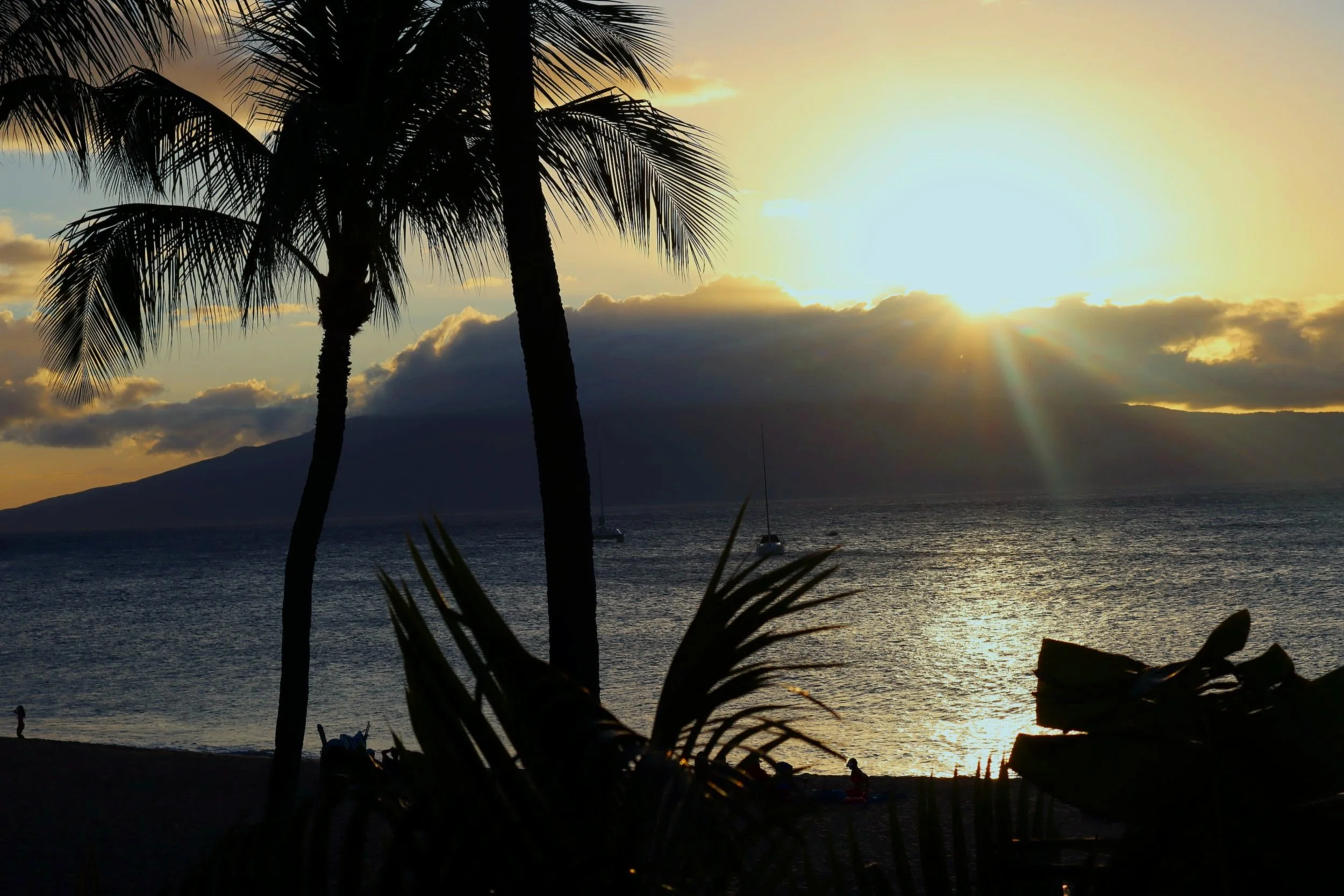 Sunset view over the ocean with silhouettes of palm trees in the foreground and a mountain in the distance.