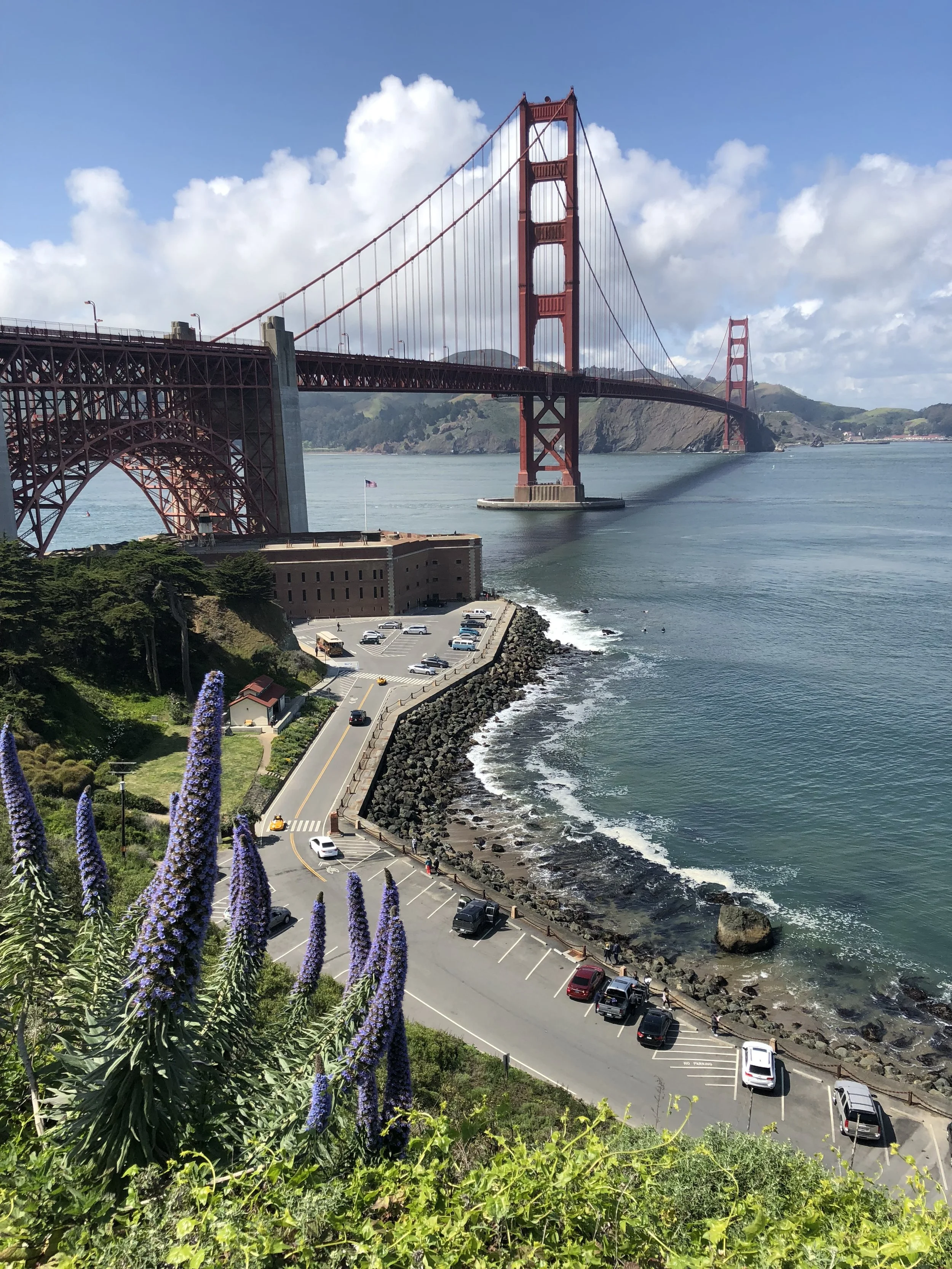 Golden Gate Bridge over the water with a parking lot and road leading down to the shoreline, green hills in the background, and purple flowers in the foreground.
