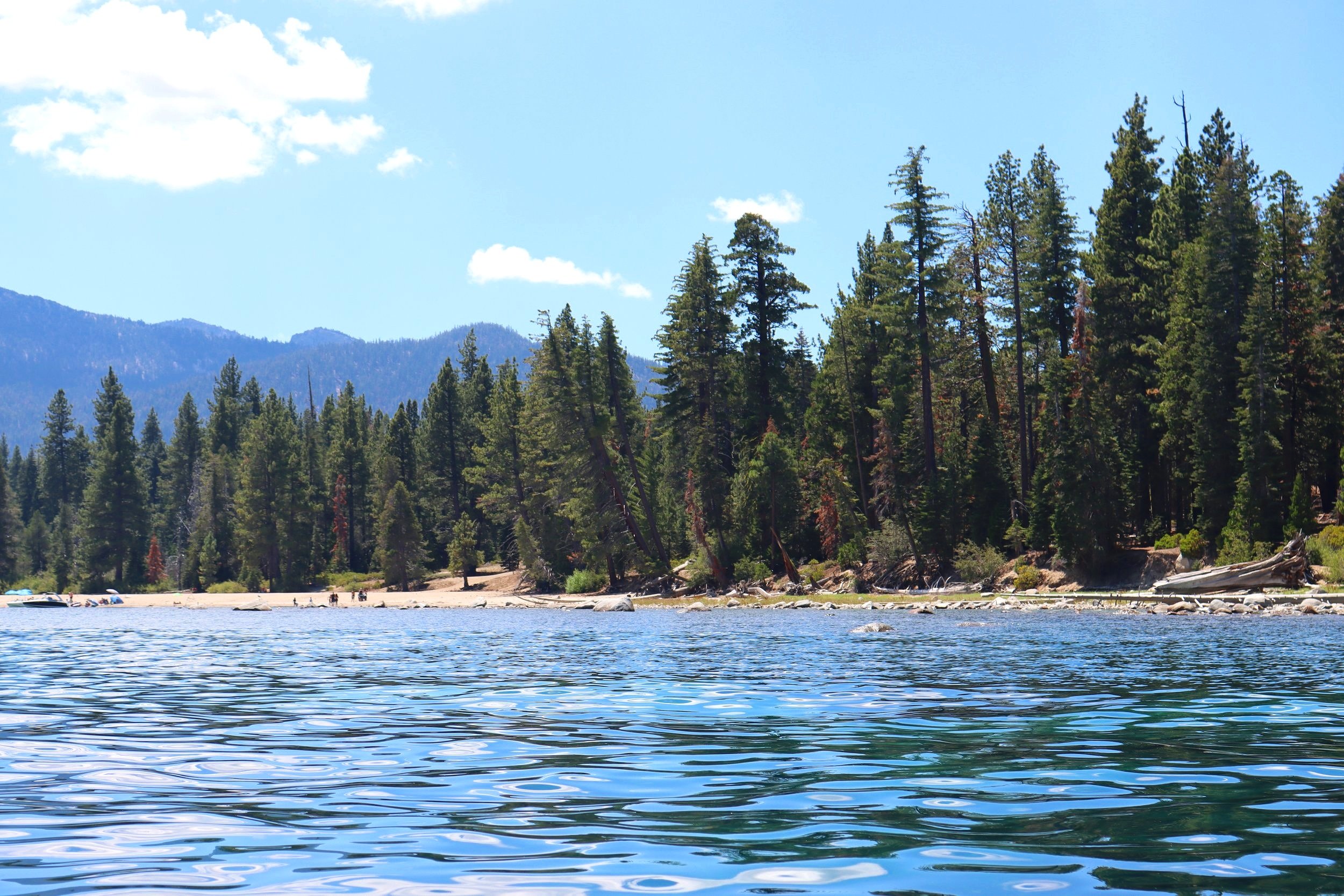 A calm lake with clear blue water, surrounded by dense pine trees on the shoreline, with mountains and a blue sky with a few clouds in the background.