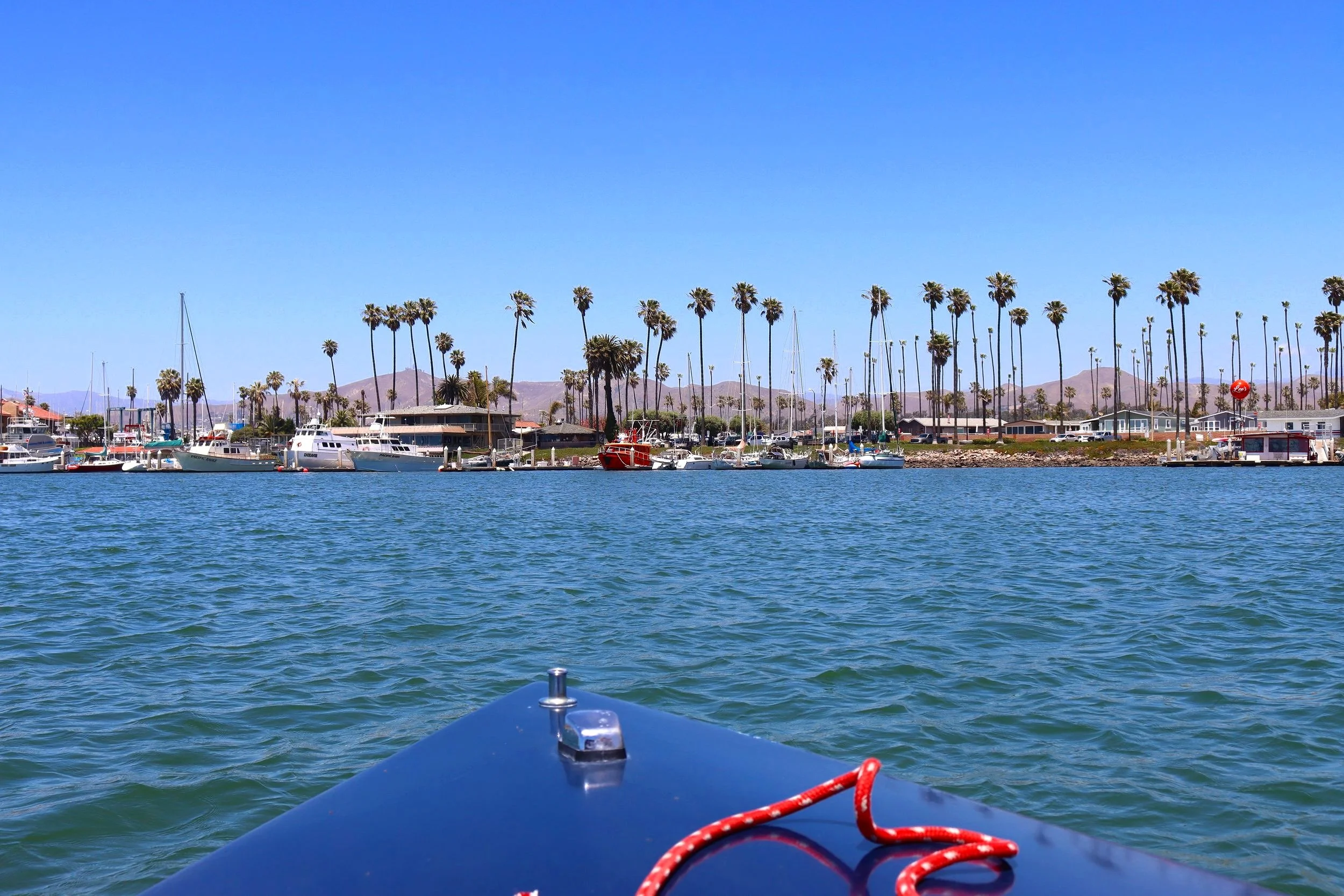 View from a boat on the water looking towards a marina with boats and sailboats docked, surrounded by tall palm trees, with mountains and a clear blue sky in the background.