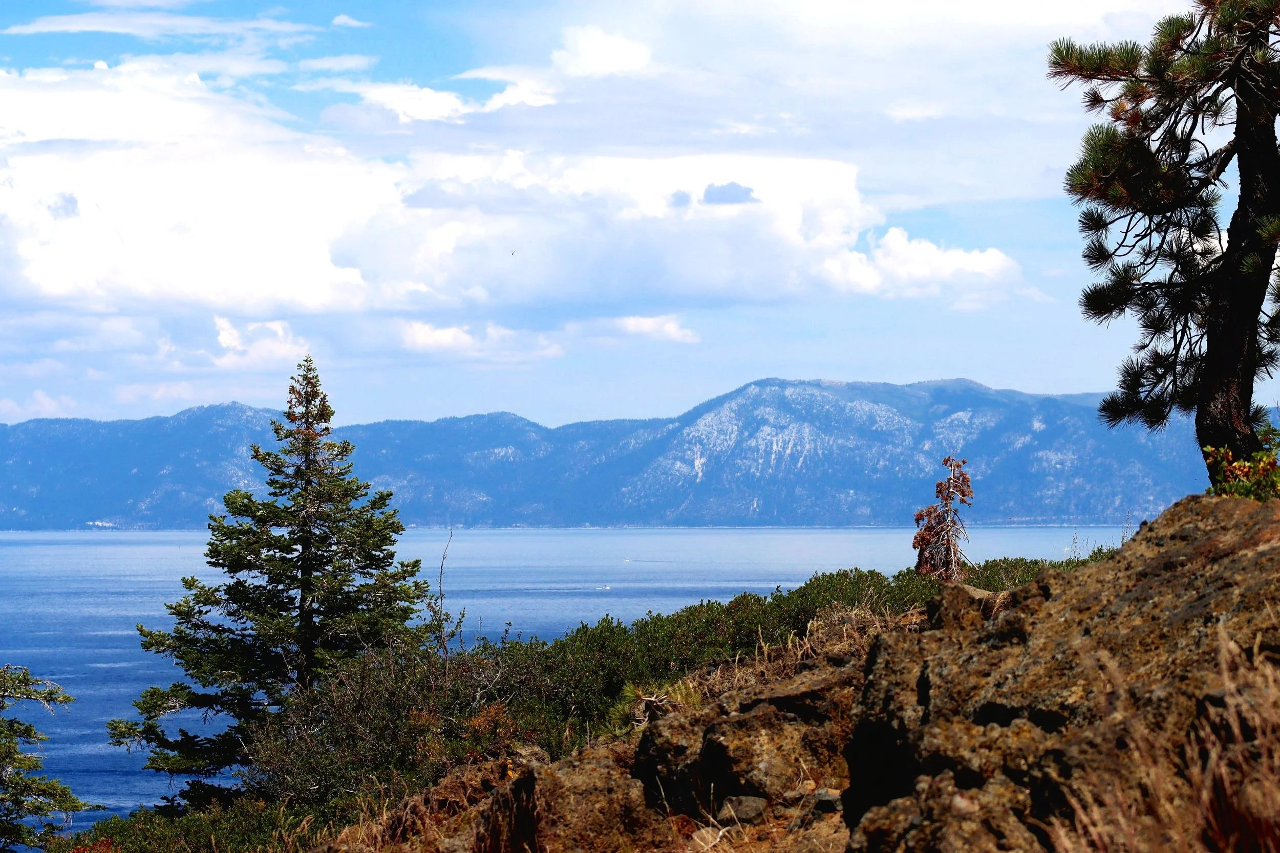 Scenic view of a lake surrounded by mountains, with pine trees and rocky terrain in the foreground under a partly cloudy sky.