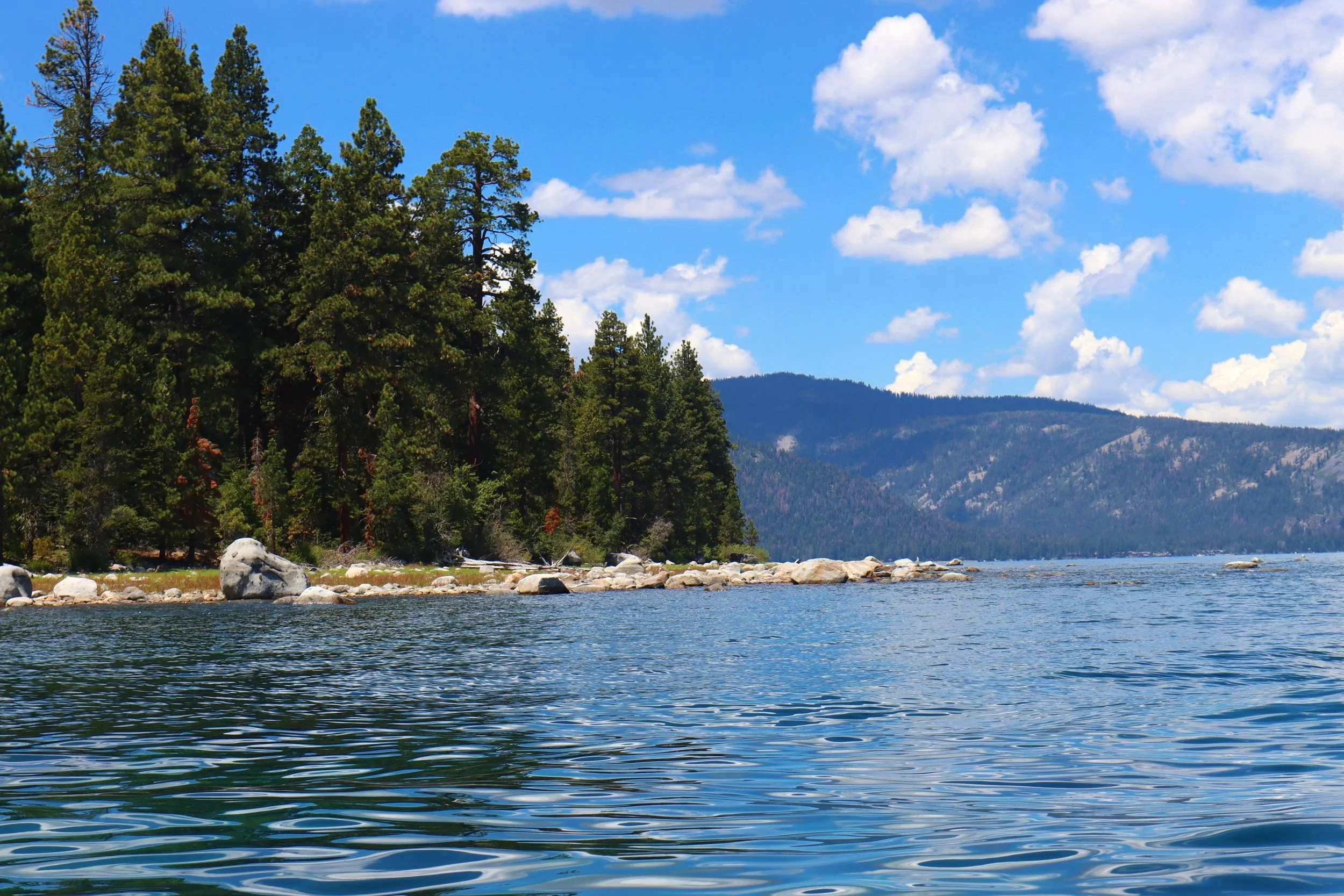 A lakeshore with tall pine trees, a rocky shoreline, and distant mountains under a partly cloudy blue sky.