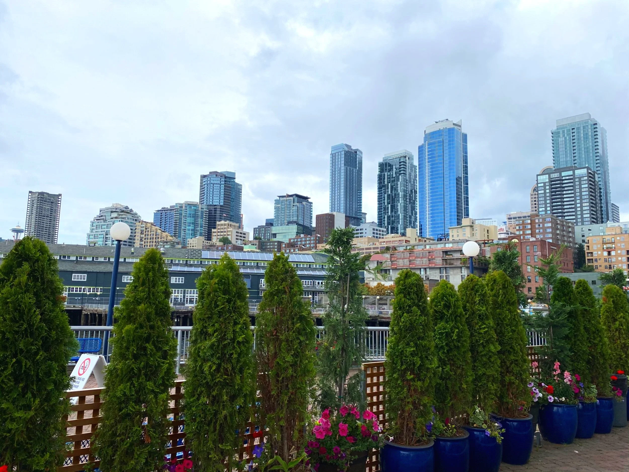 Urban cityscape with tall modern skyscrapers, green trees in pots, and lampposts in the foreground