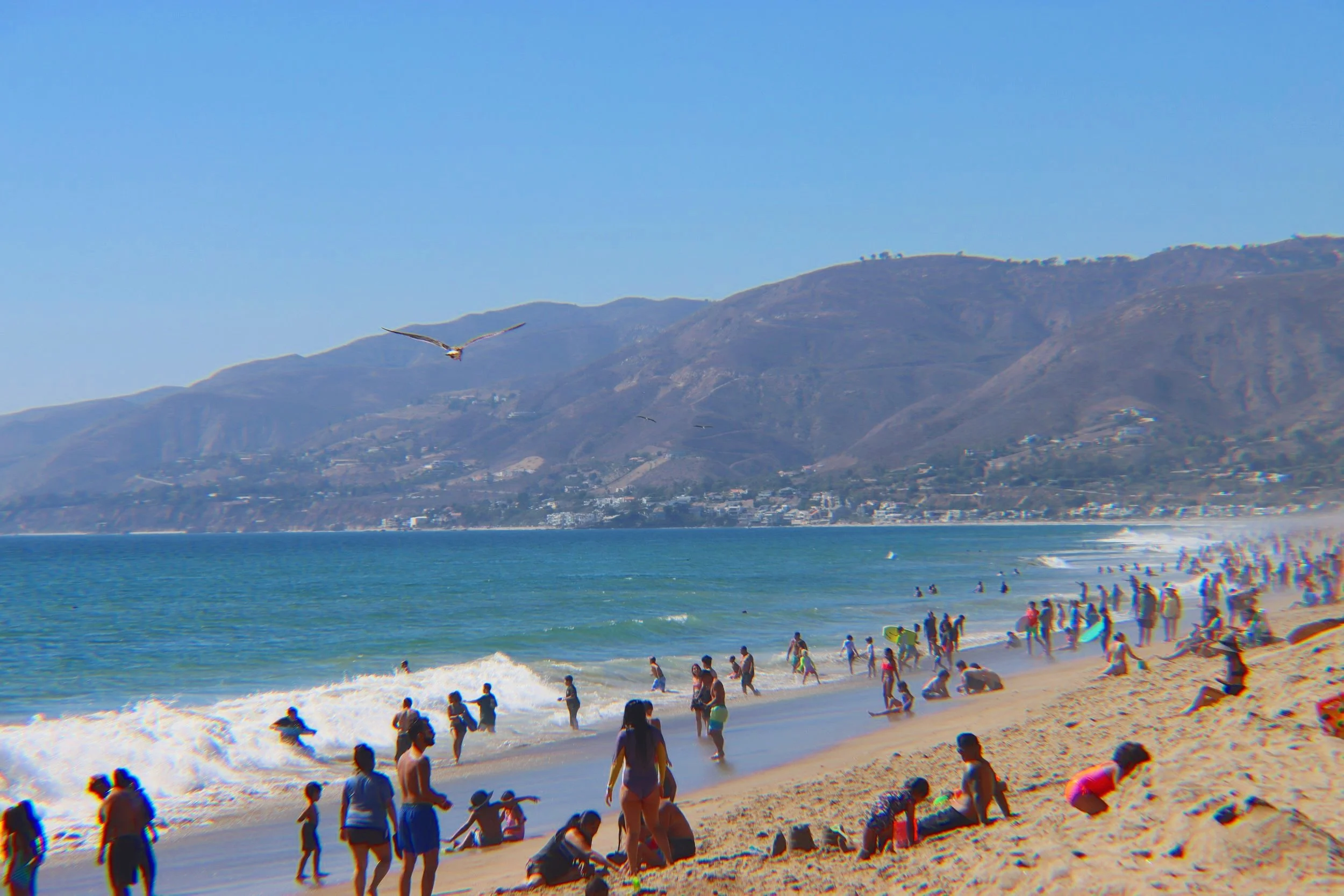 Crowded beach with people swimming and sunbathing, seagulls flying over the shoreline, mountains in the background on a sunny day.