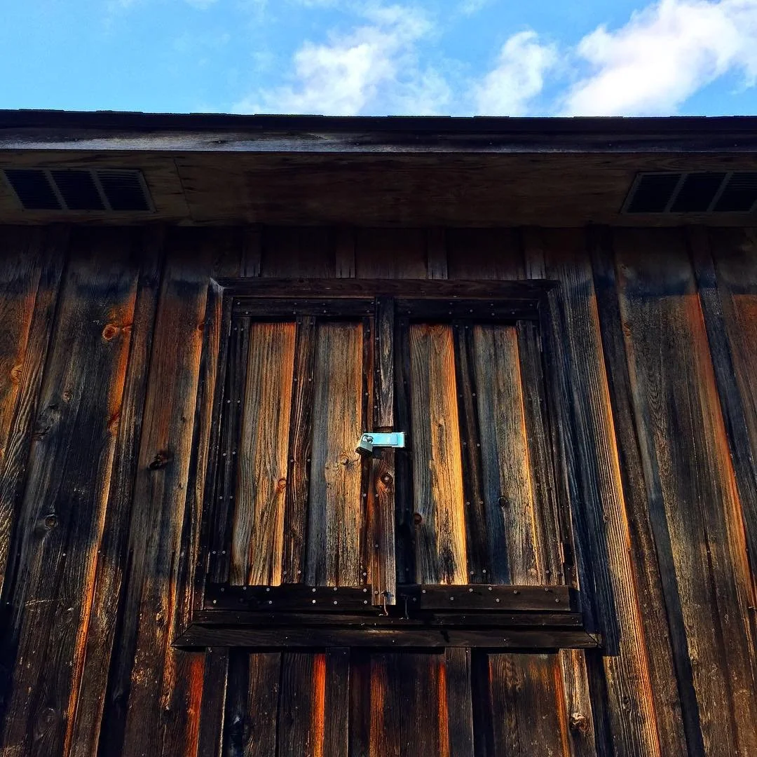 BARNS & BLUE SKIES // mississippi