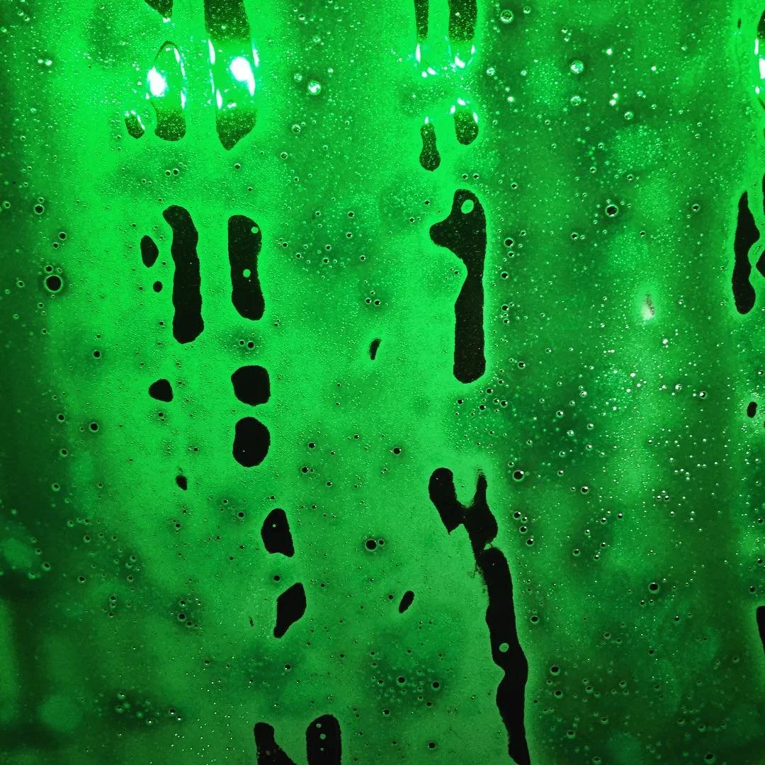 COLOR // tales from the carwash episode 3; lochness came by to say hi.