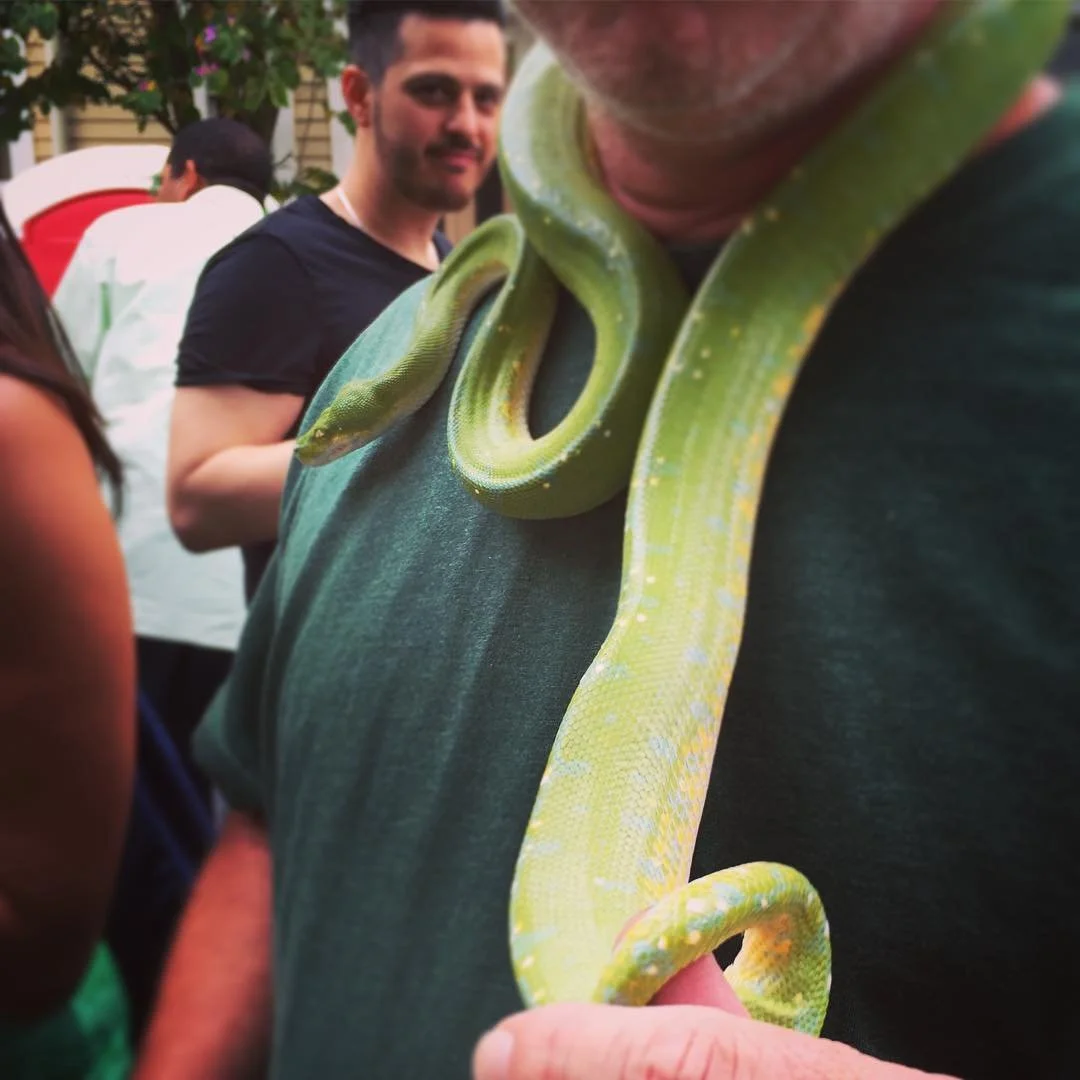 THAT GREEN LIFE // day 3; i think i’ve found an irish snake.