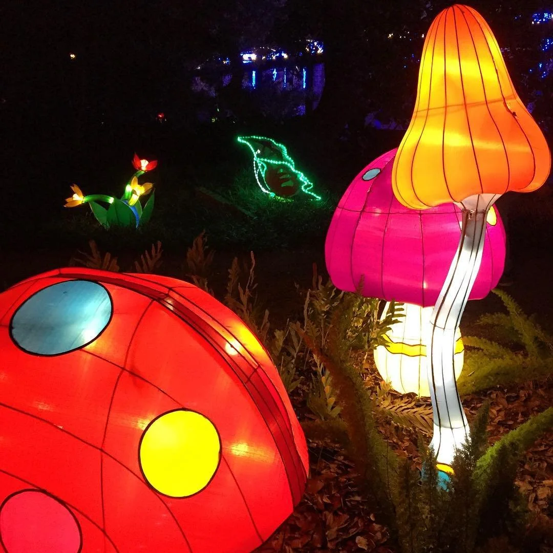 ALICE IN WONDERLAND // mushrooms