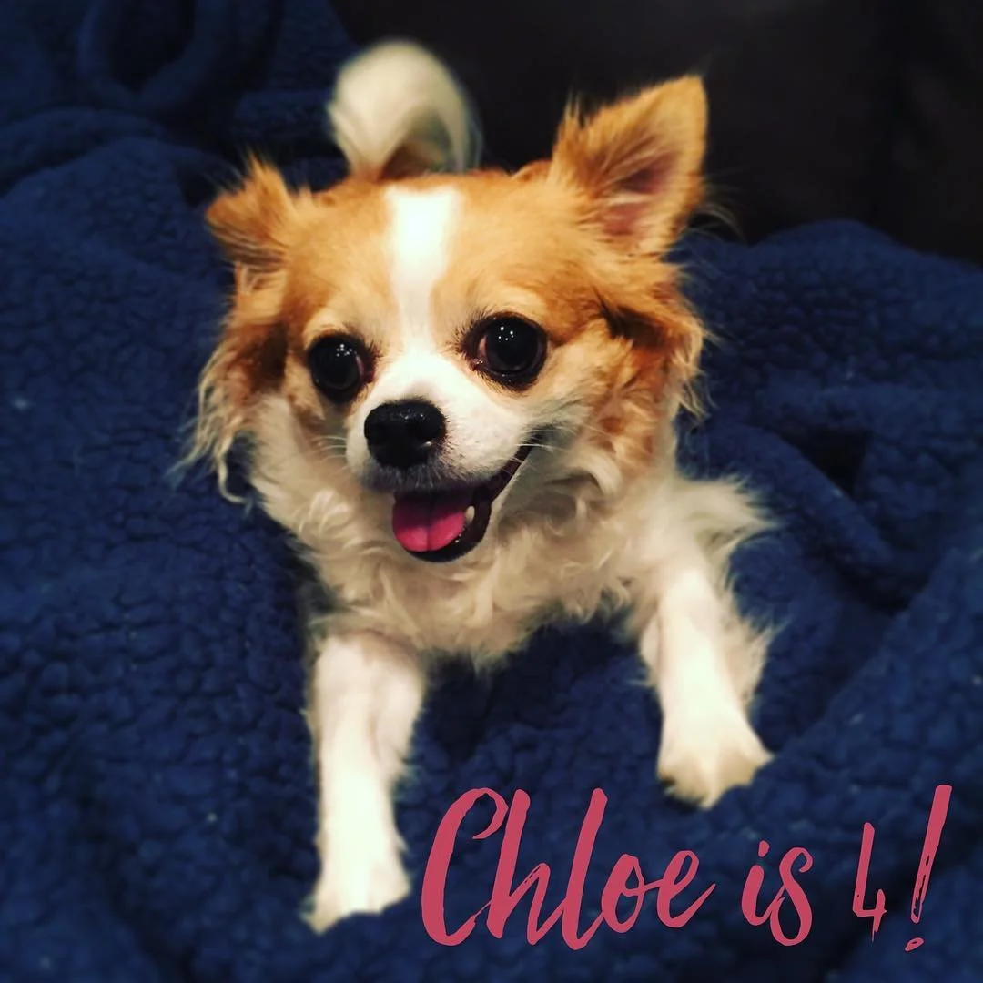 FOUR // #ChloeQubty!