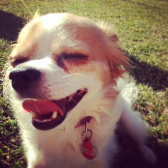 CHLOE // i’m so happy, mom!