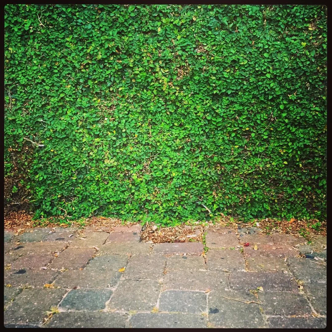CRACKS // juxtaposed things