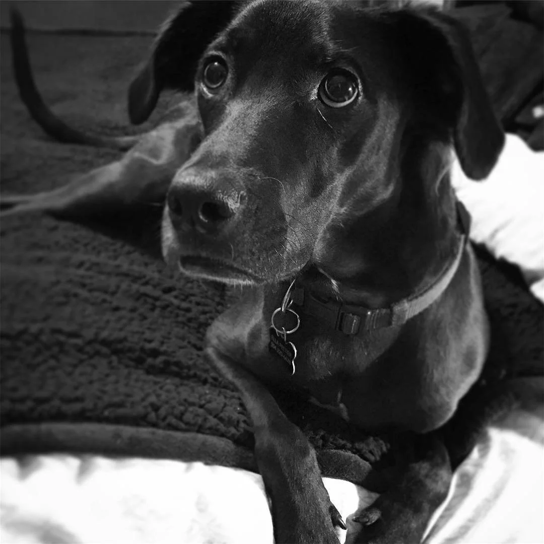 BLACK & WHITE // ella.