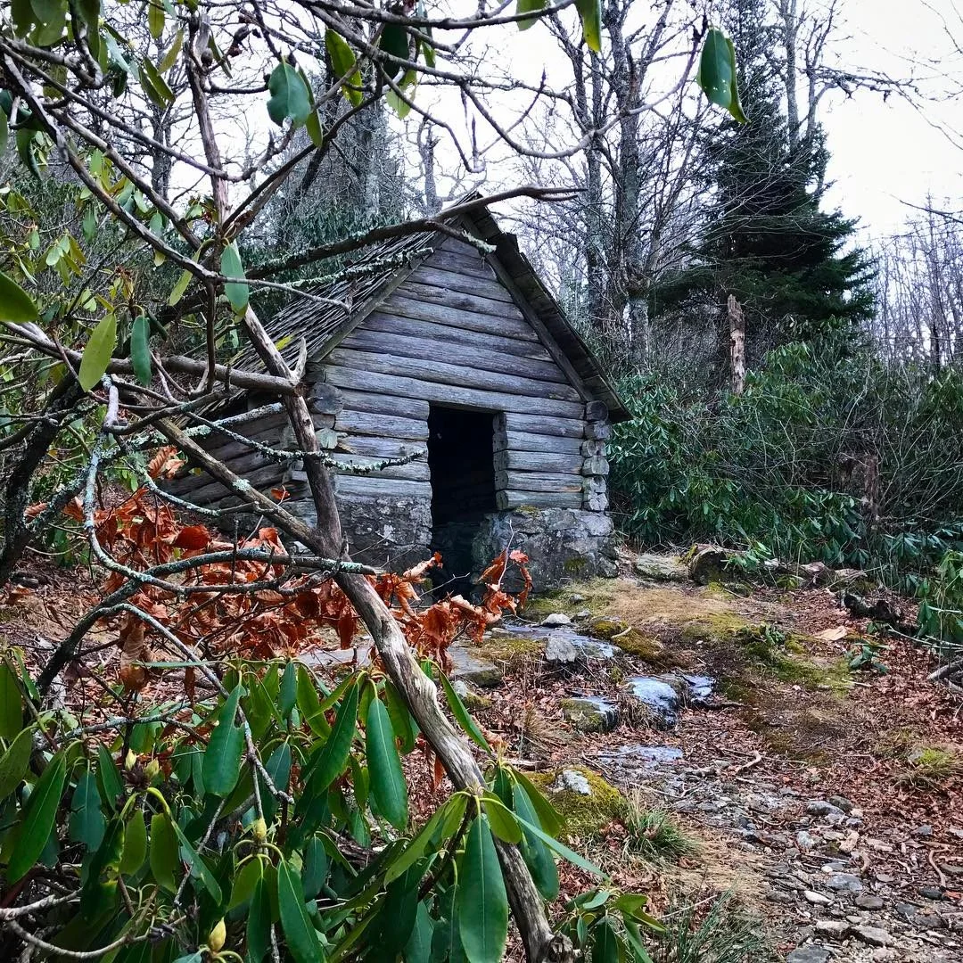 WILD // finally found a place I can afford.