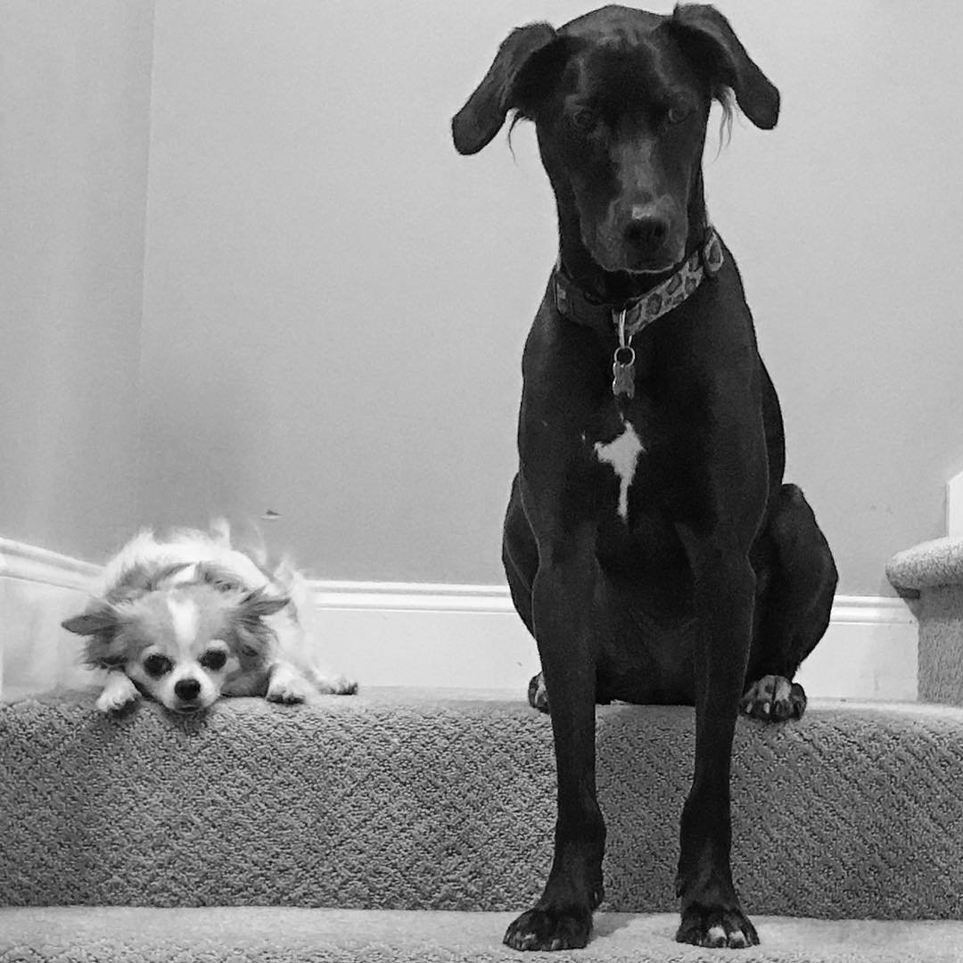 CURIOSITY // curiouser & curiouser.