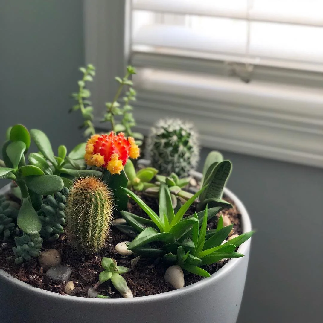 GROW FRIENDS //
