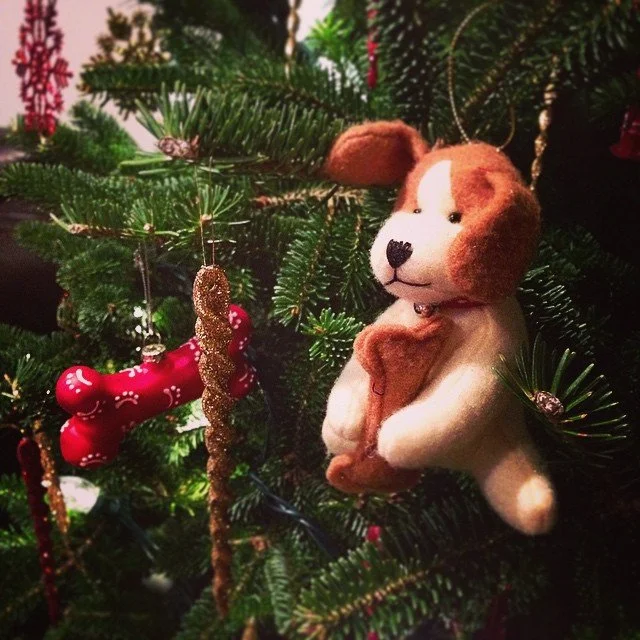 ORNAMENTS // christmas at the dog house!