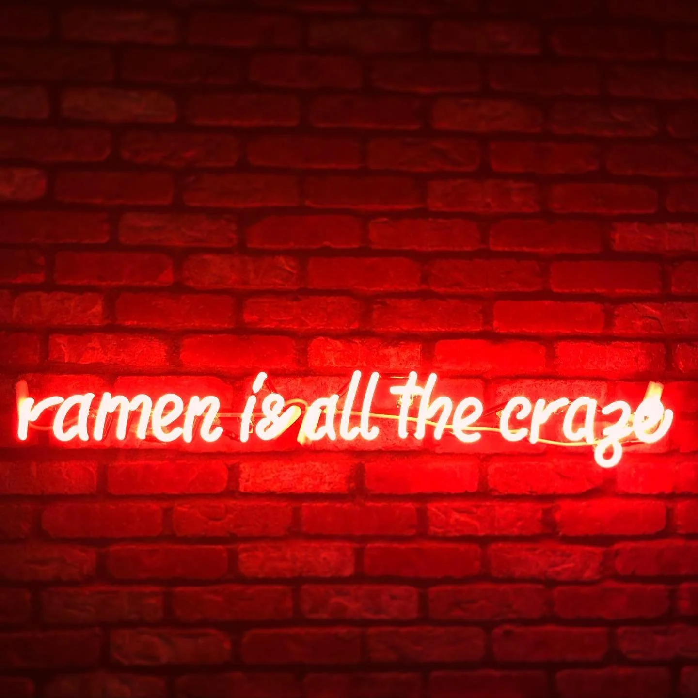 THE CRAZE //