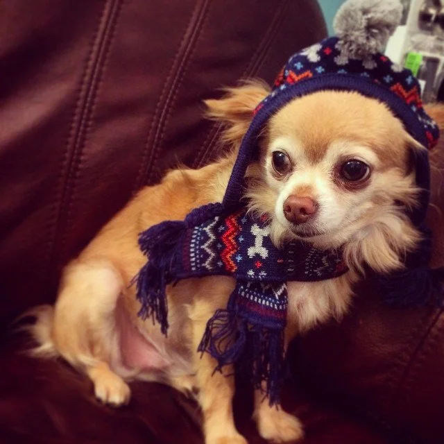Mom, I'm ready for winter! Oh wait, we're in New Orleans... #nola #zeu