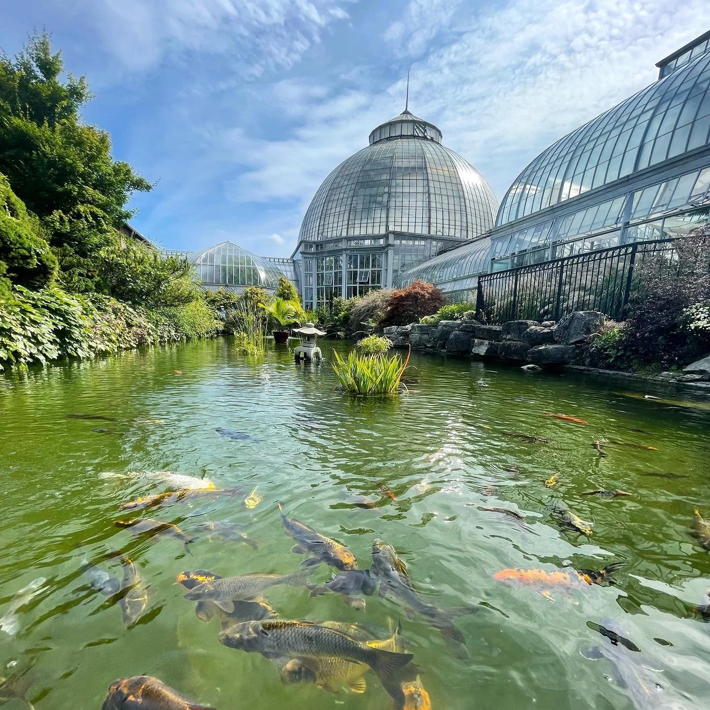 MICHI //