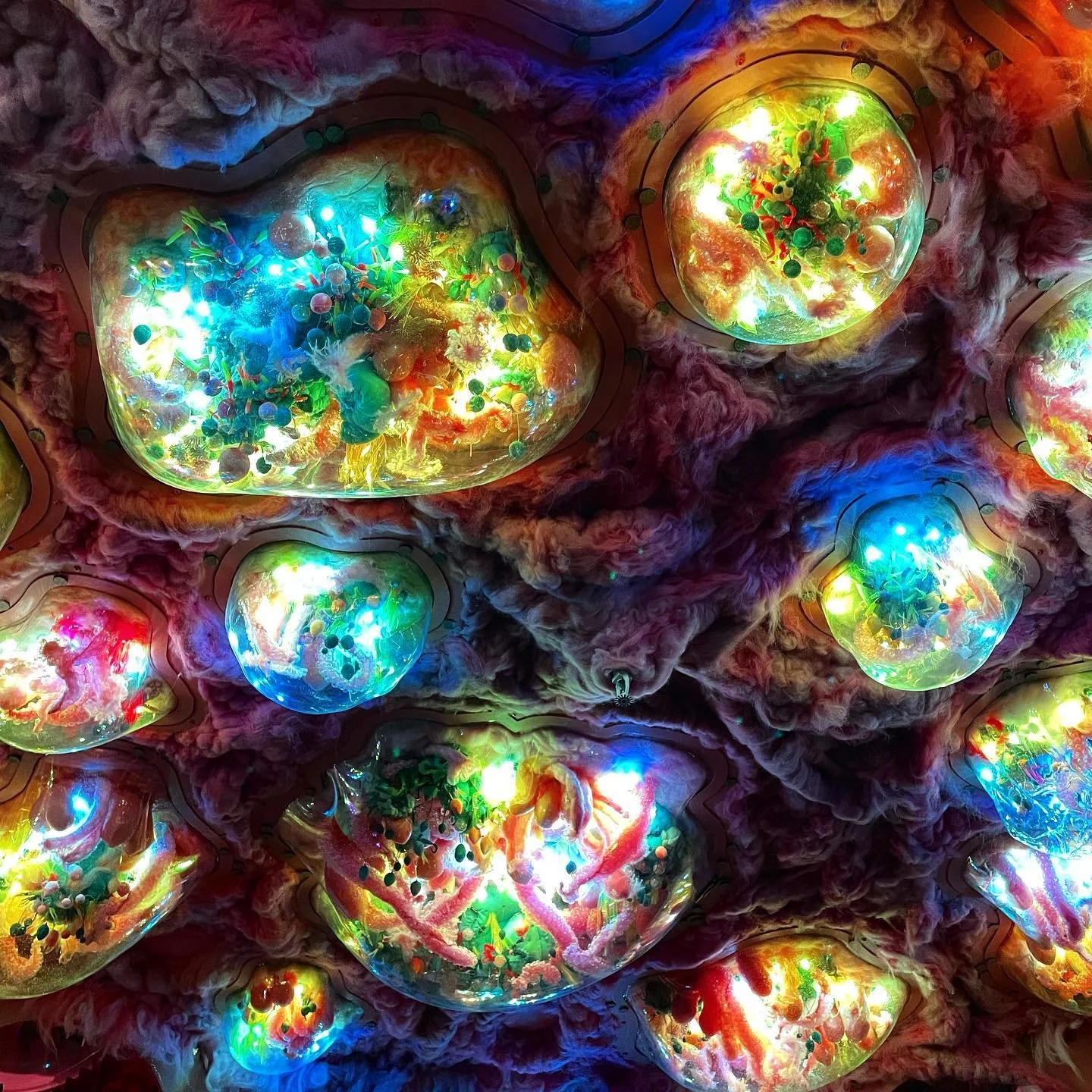 BLESSED BY THE NUCLEI //
