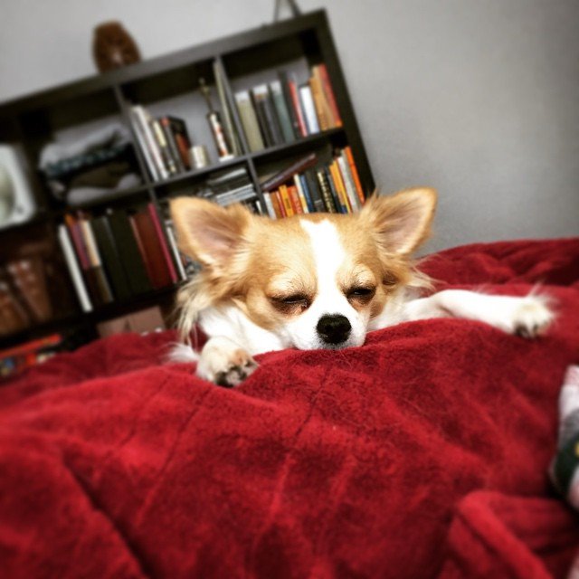 NAPS // we don't want to get out of bed.