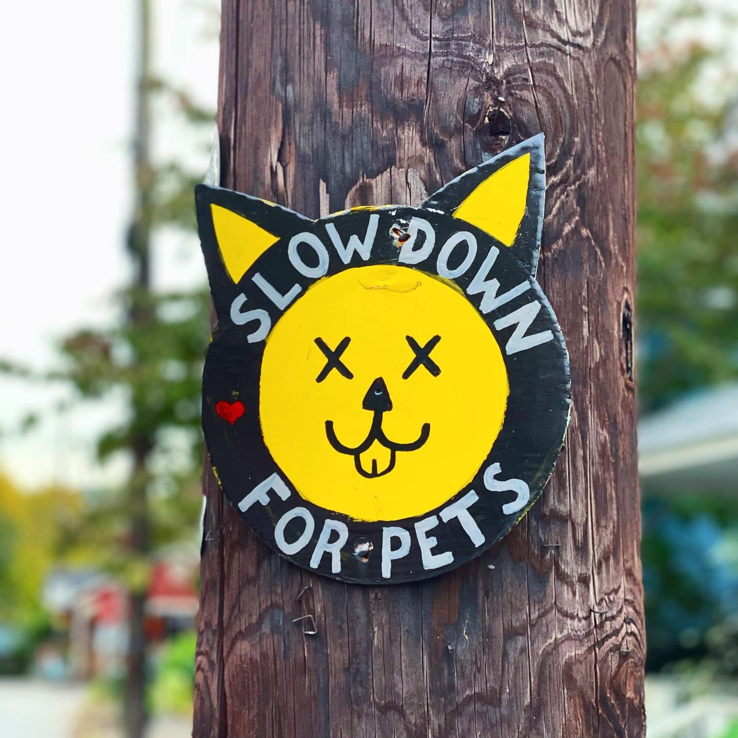 POLE OF INFINITE WISDOM //