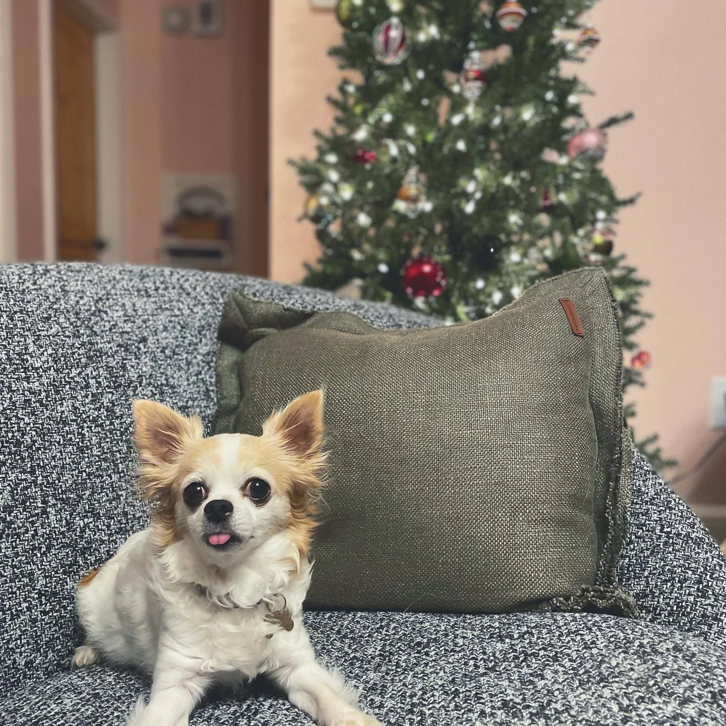 MERRY MERRY //