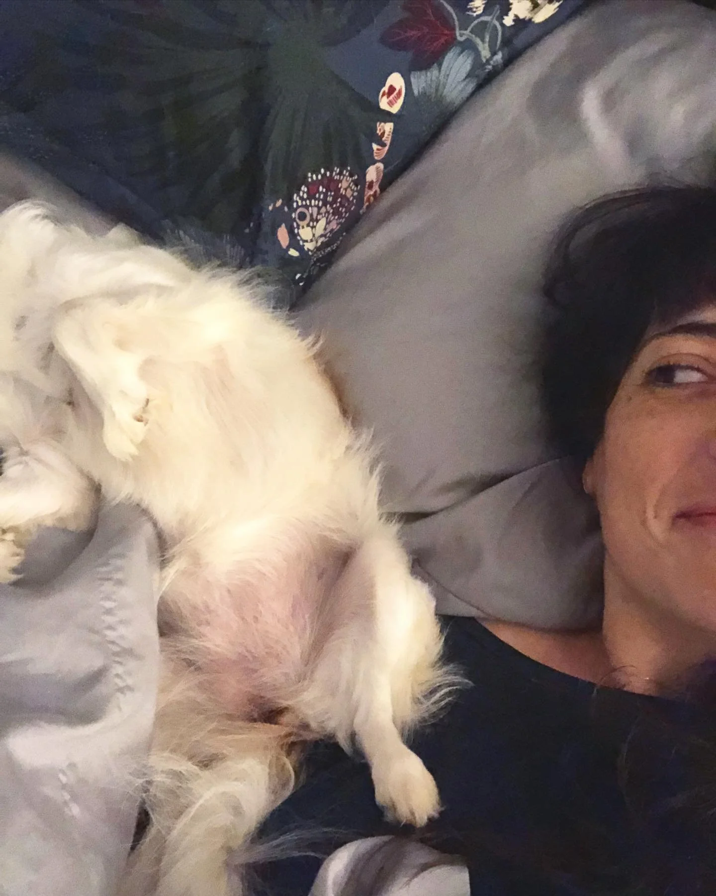 BUTT-TO-SHOULDER RATIO //