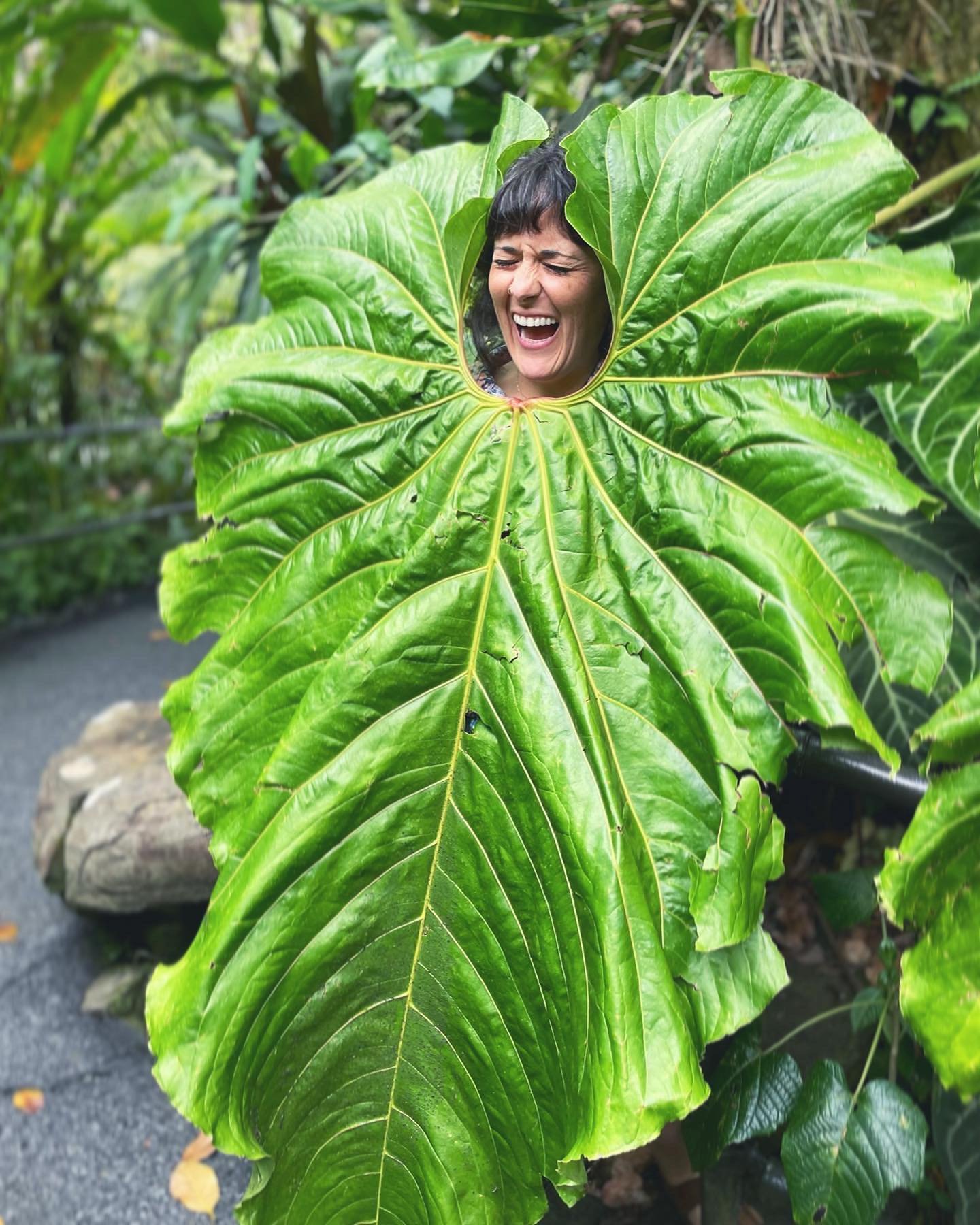 PLANTS ON PLANTS ON PLANTS //