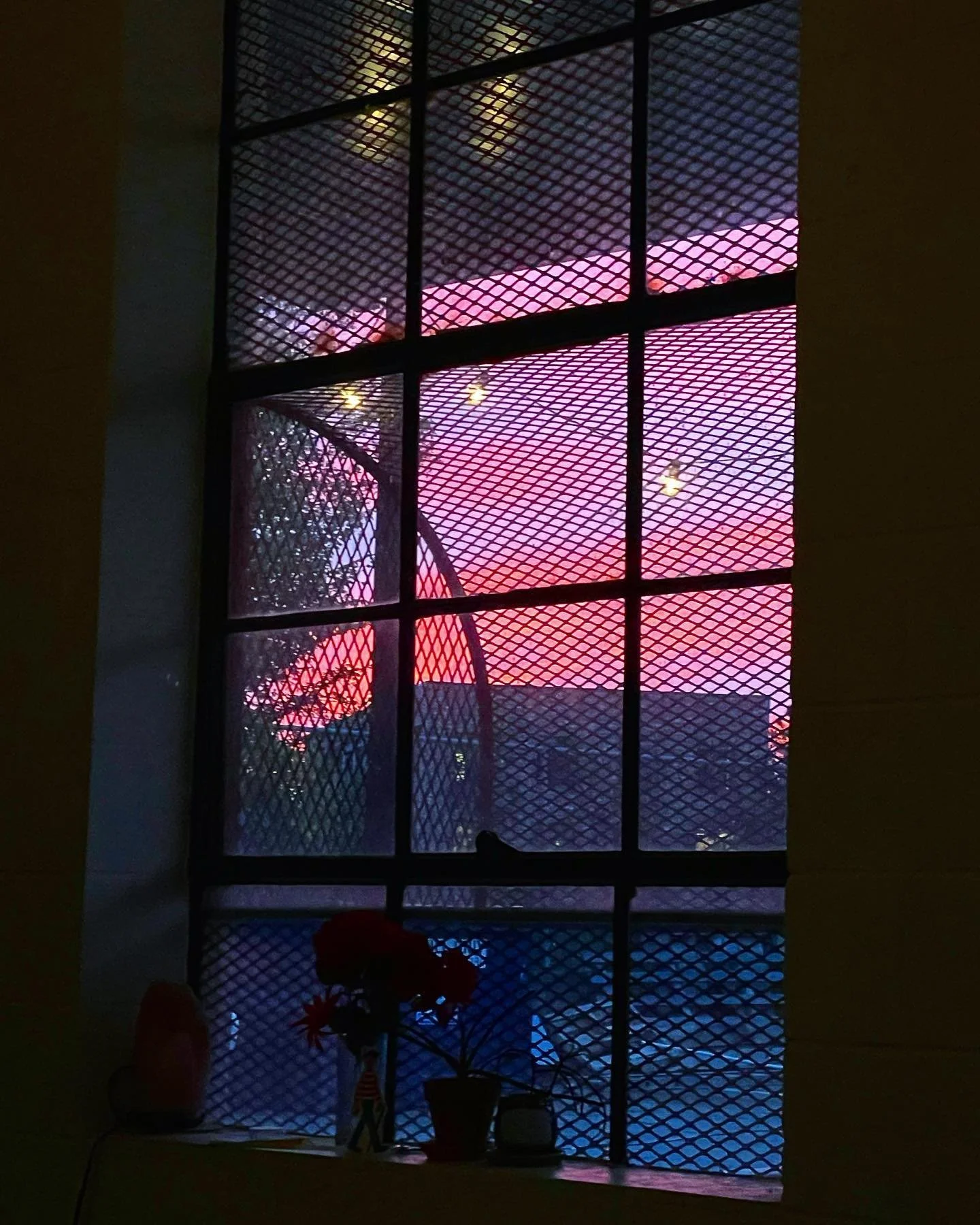ROSE-COLORED //