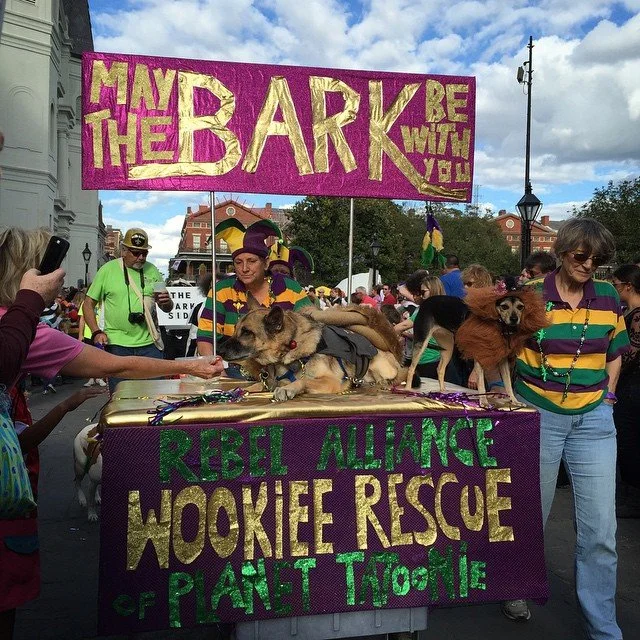 BARKUS 2015 // may the bark be with you