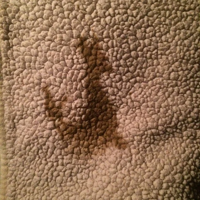 BARF-O-RAMA // hat time #ChloeQubty puked out a kangaroo shape on the 