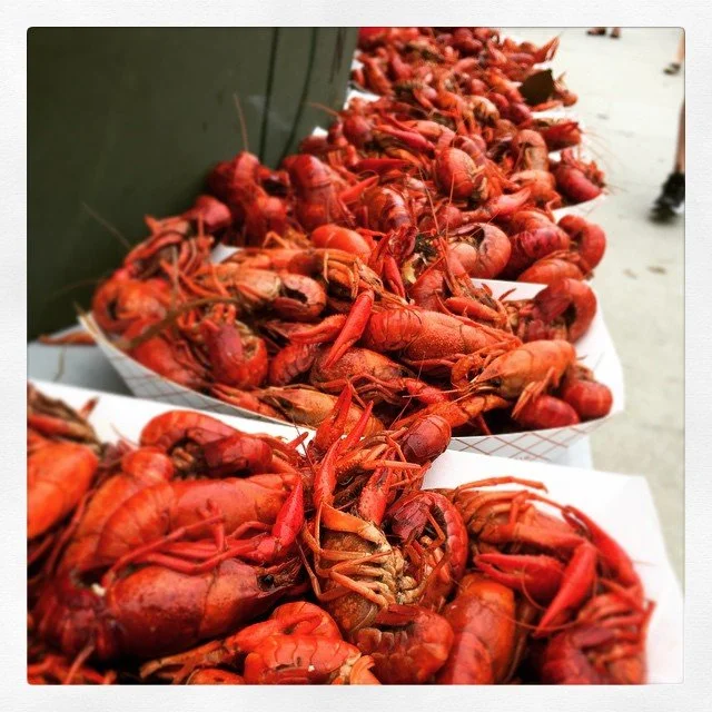 CRAWFISH FOR DAYS // this is the life.