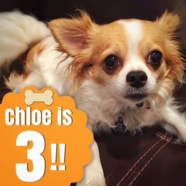 THREE // happy birthday #ChloeQubty!